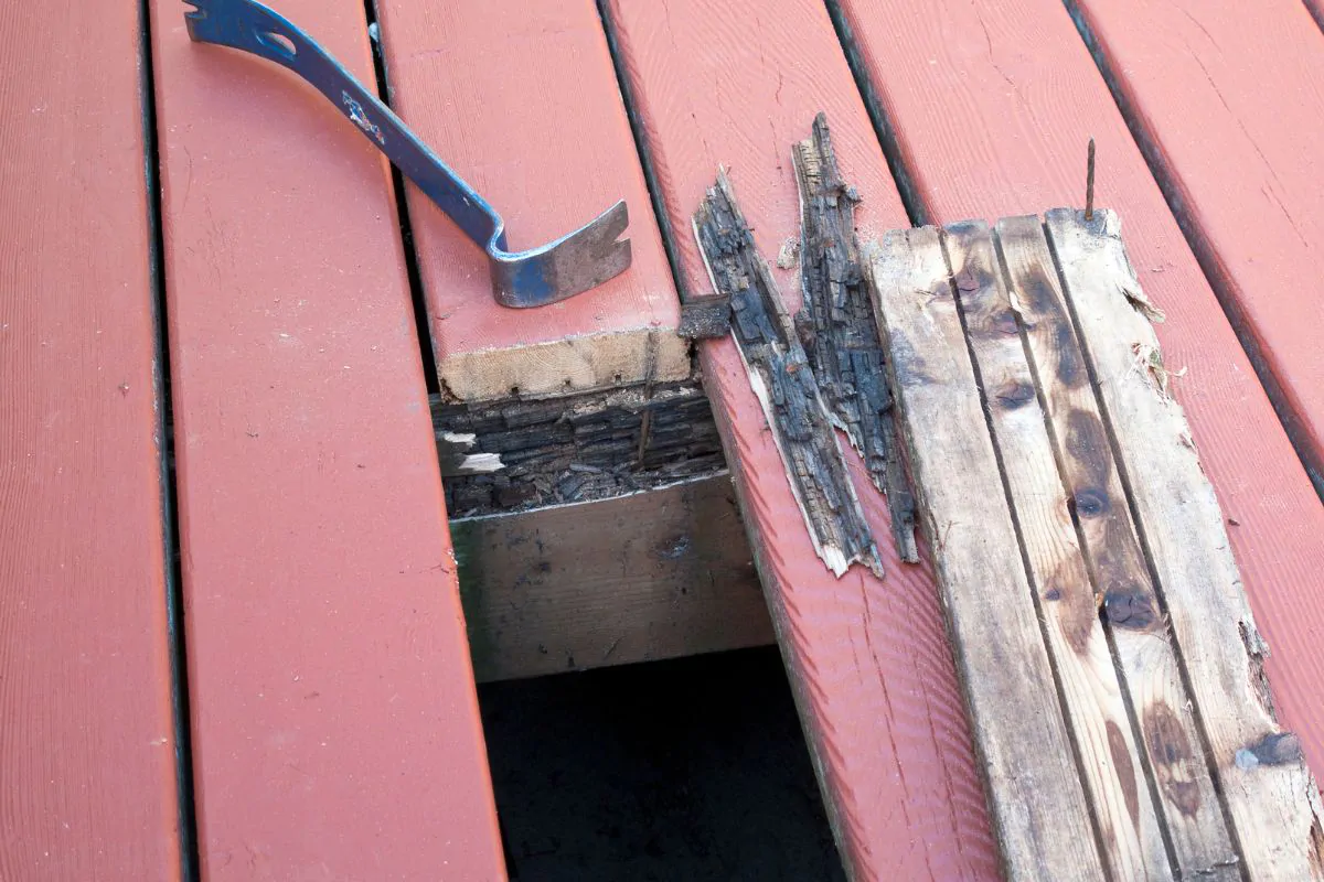 Deck Repair and Maintenance Services in Wasilla, AK
