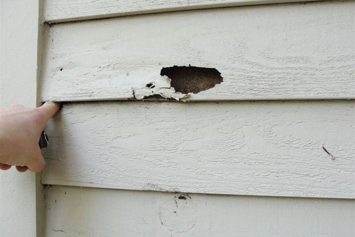 Contractor Inspecting House Siding in Wasilla, AK